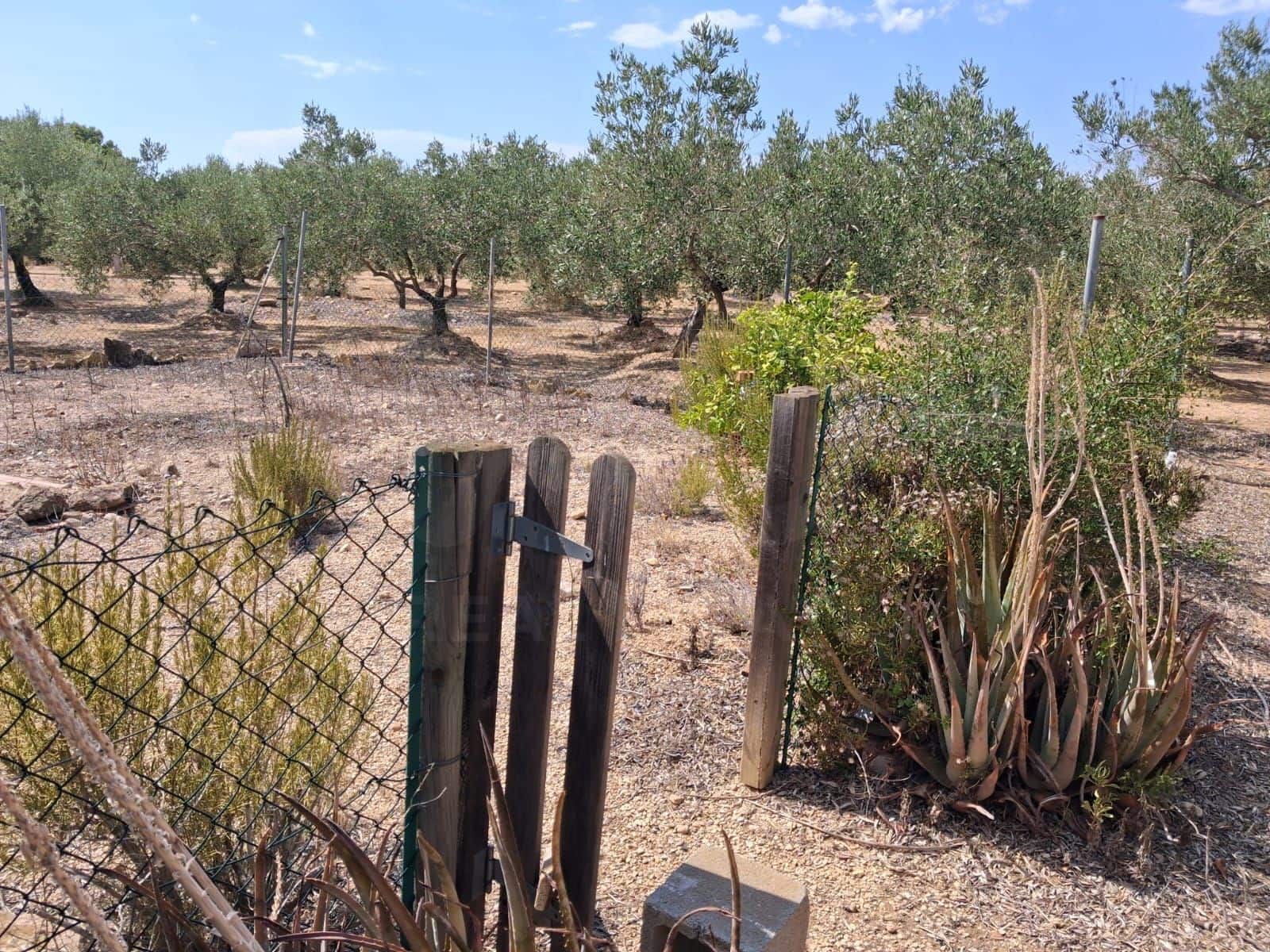 Landgrundstück zu verkaufen in L'Ampolla - 94.000 € (Ref: 10007144)