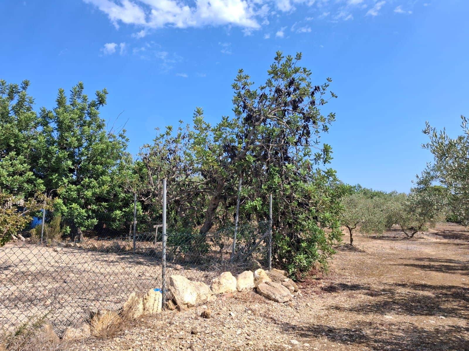 Landgrundstück zu verkaufen in L'Ampolla - 94.000 € (Ref: 10007144)