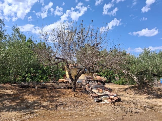 Terreno Não Urbanizado para venda em L'Ampolla - 94 000 € (Ref: 10007144)