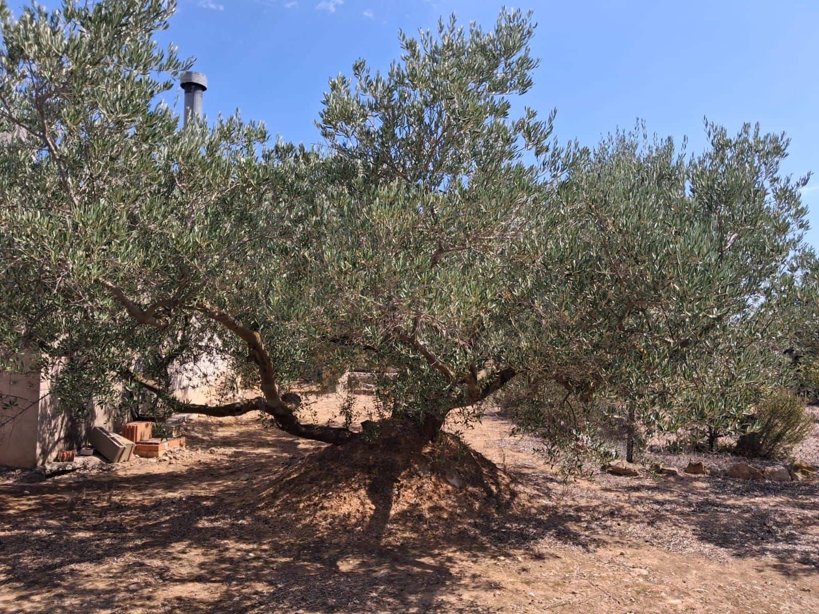 Landgrundstück zu verkaufen in L'Ampolla - 94.000 € (Ref: 10007144)