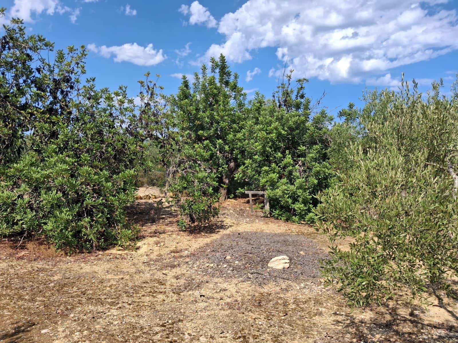 Landgrundstück zu verkaufen in L'Ampolla - 94.000 € (Ref: 10007144)