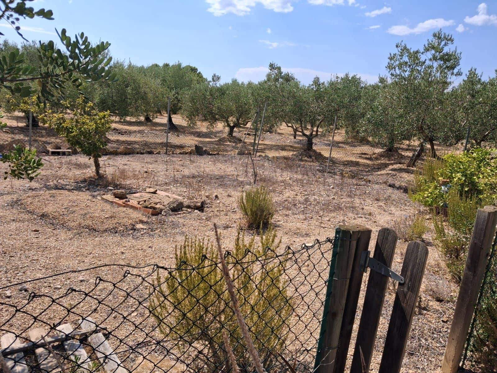 Landgrundstück zu verkaufen in L'Ampolla - 94.000 € (Ref: 10007144)