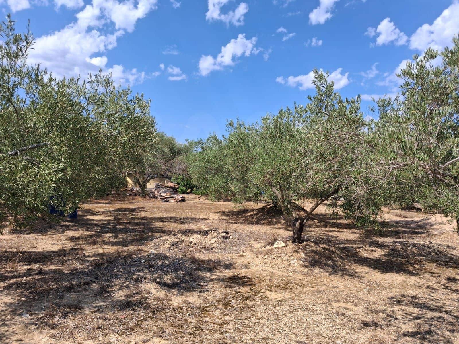 Landgrundstück zu verkaufen in L'Ampolla - 94.000 € (Ref: 10007144)