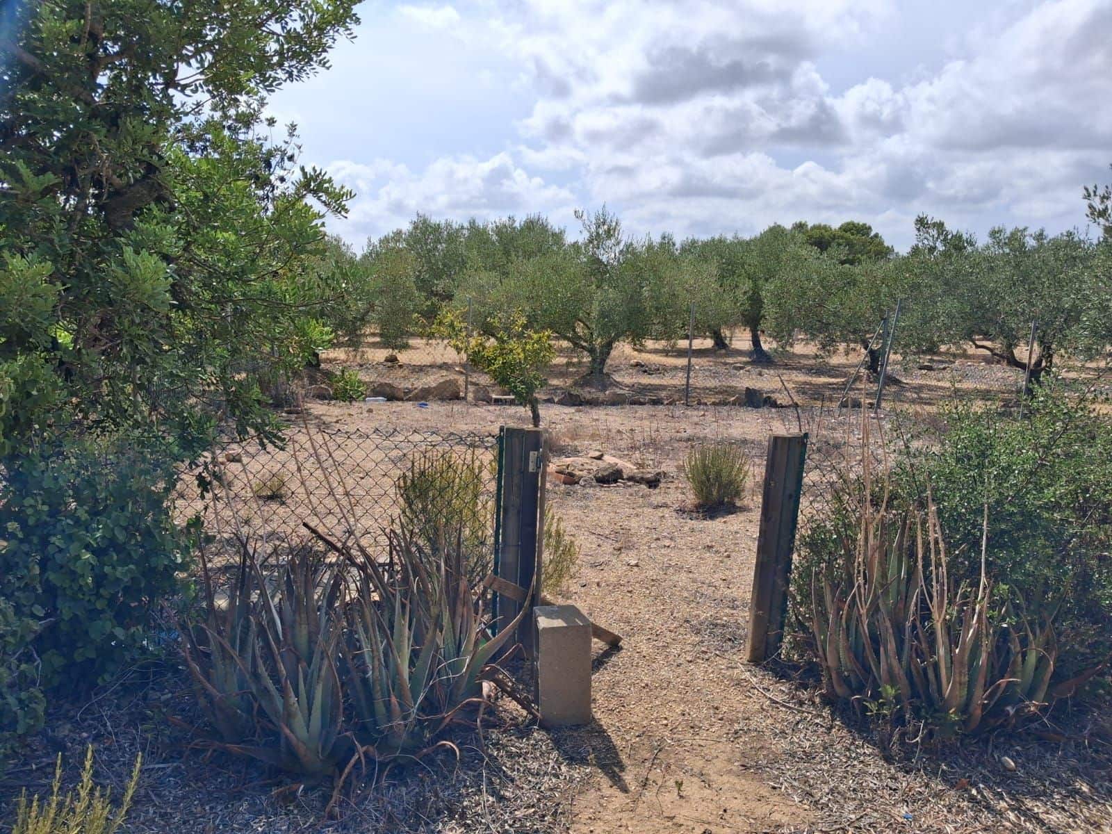 Undeveloped Land for sale in L'Ampolla - € 94,000 (Ref: 10007144)