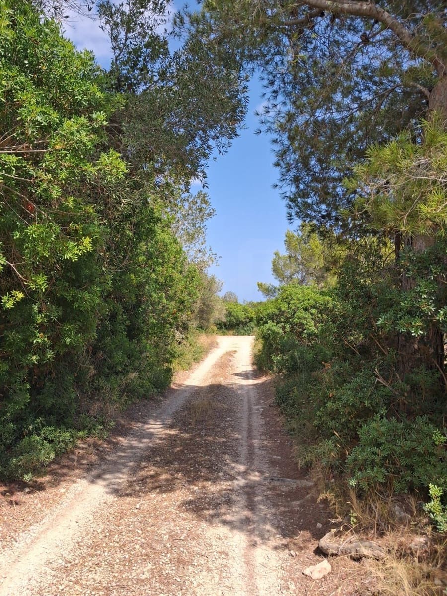 Undeveloped Land for sale in L'Ampolla - € 94,000 (Ref: 10007144)