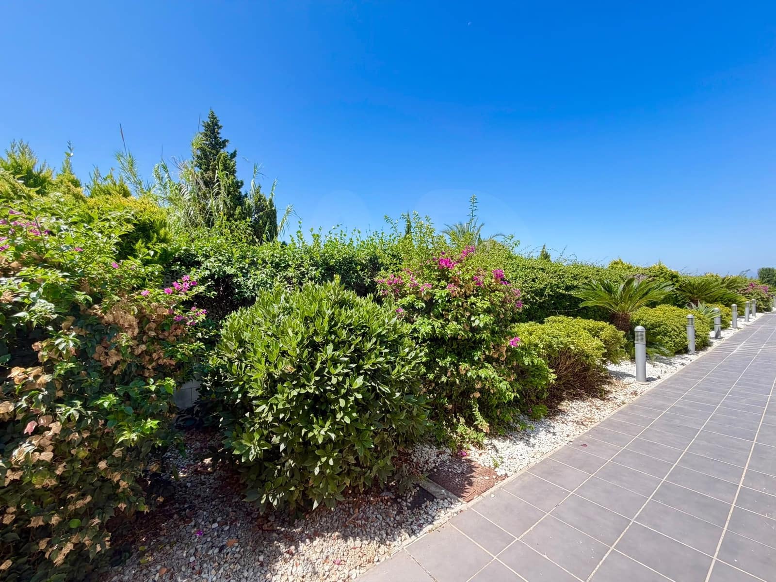 1 bedroom Apartment for sale in Oliva with pool garage - € 177,000 (Ref: 10008031)