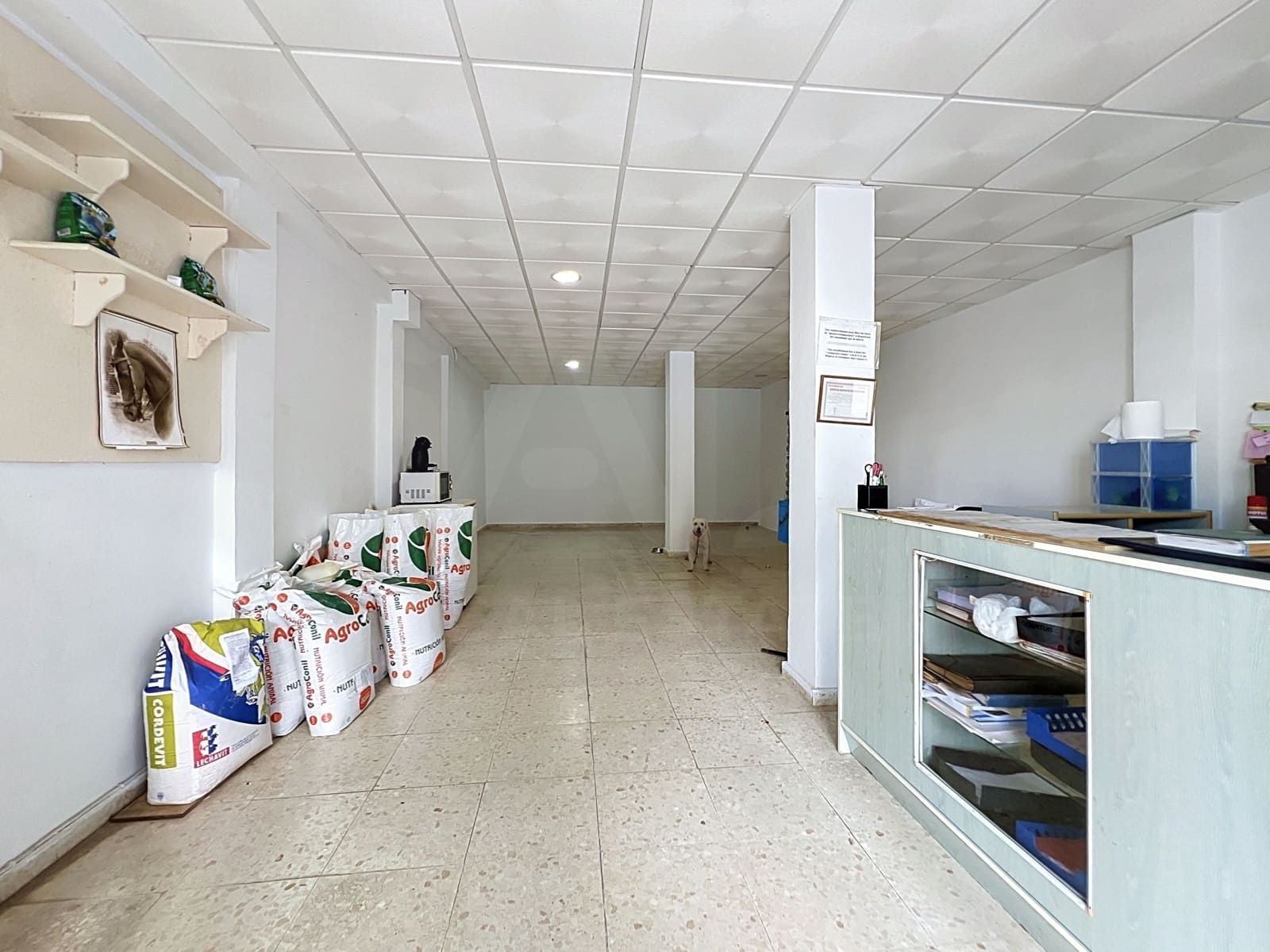 Kommersiell till salu i Tarifa med pool - 150 000 € (Ref: 10008184)