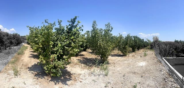 Finca/Casa di Campagna in vendita in Vallmoll - 22.500 € (Rif: 10009154)
