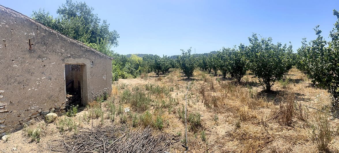 Finca/Landhuis te koop in Vallmoll - € 22.500 (Ref: 10009154)
