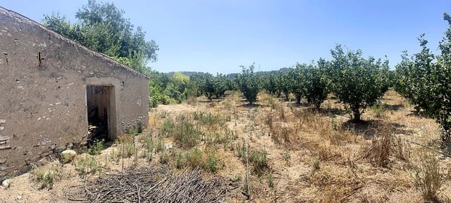 Finca/Casa di Campagna in vendita in Vallmoll - 22.500 € (Rif: 10009154)