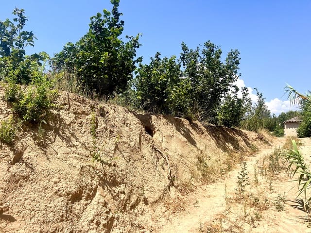 Finca/Casa di Campagna in vendita in Vallmoll - 22.500 € (Rif: 10009154)