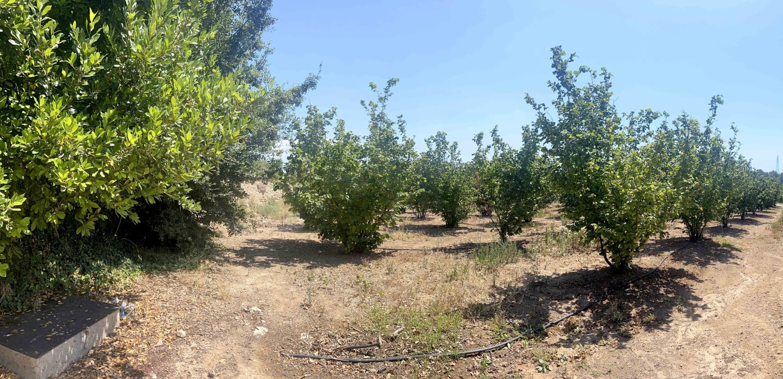 Finca/Landhuis te koop in Vallmoll - € 22.500 (Ref: 10009154)