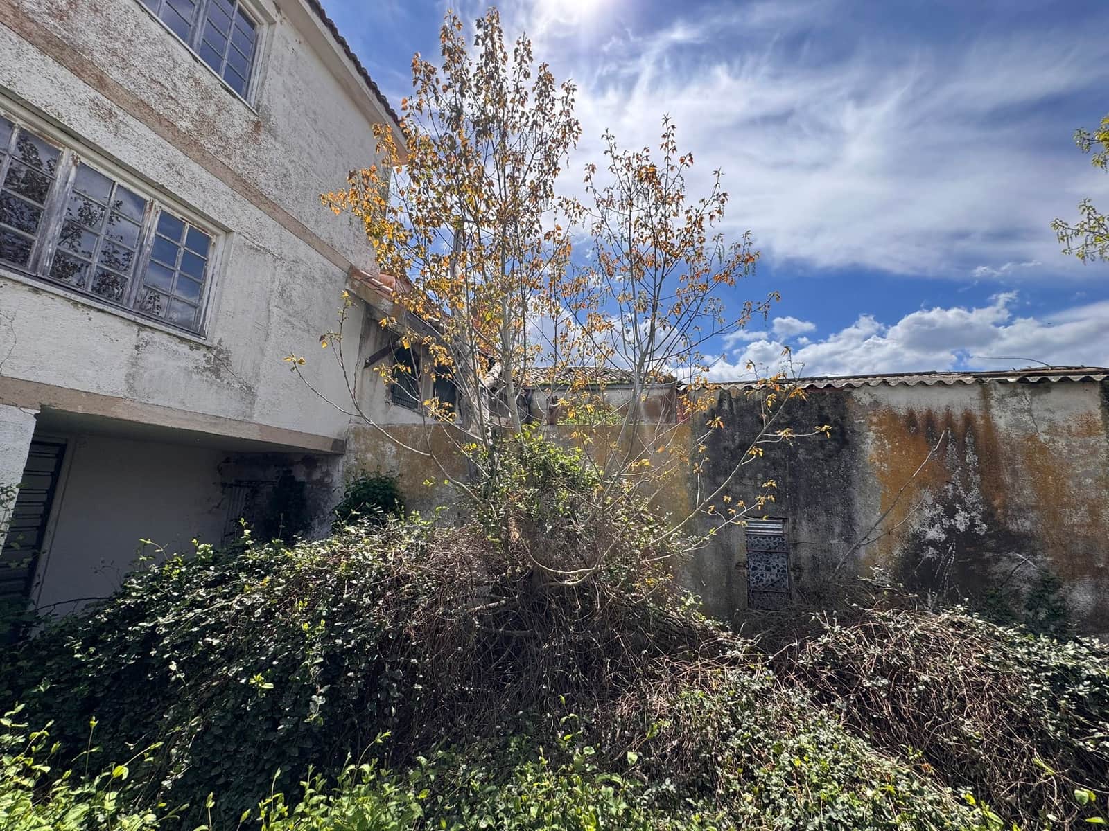 Terreno Não Urbanizado para venda em La Colilla - 340 000 € (Ref: 10009855)