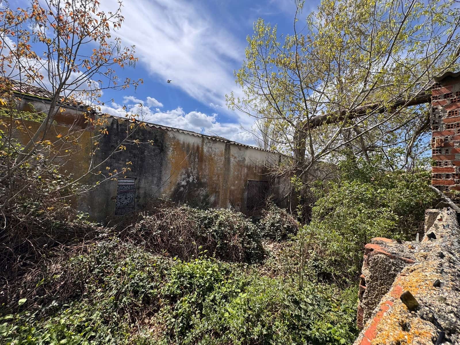 Terreno Não Urbanizado para venda em La Colilla - 340 000 € (Ref: 10009855)