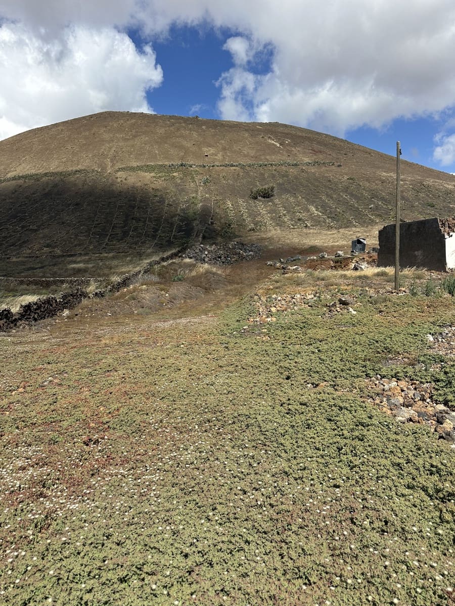 Terreno para Construção para venda em Conil - 195 000 € (Ref: 10009861)
