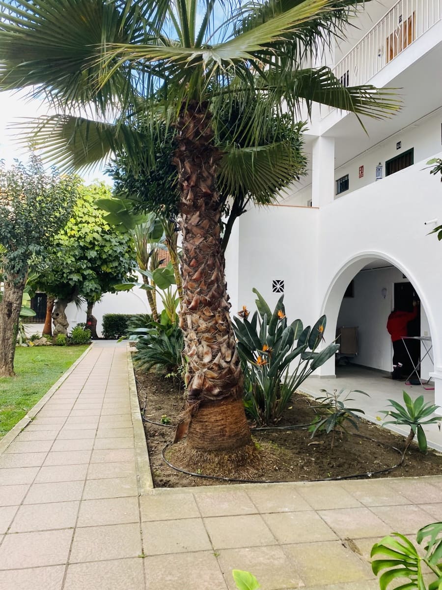 1 slaapkamer Appartement te koop in Estepona met zwembad - € 209.000 (Ref: 10009865)