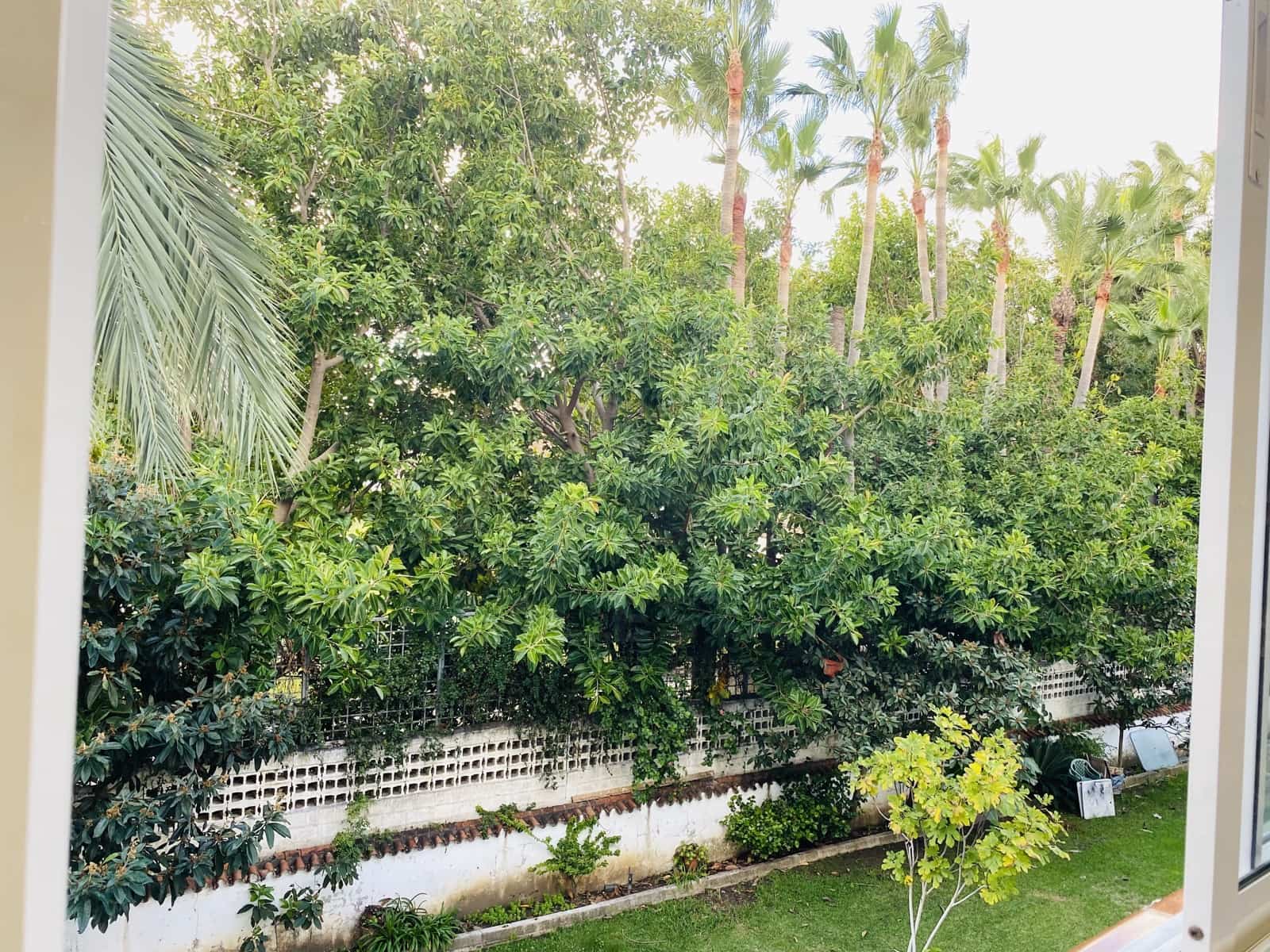 1 slaapkamer Appartement te koop in Estepona met zwembad - € 209.000 (Ref: 10009865)