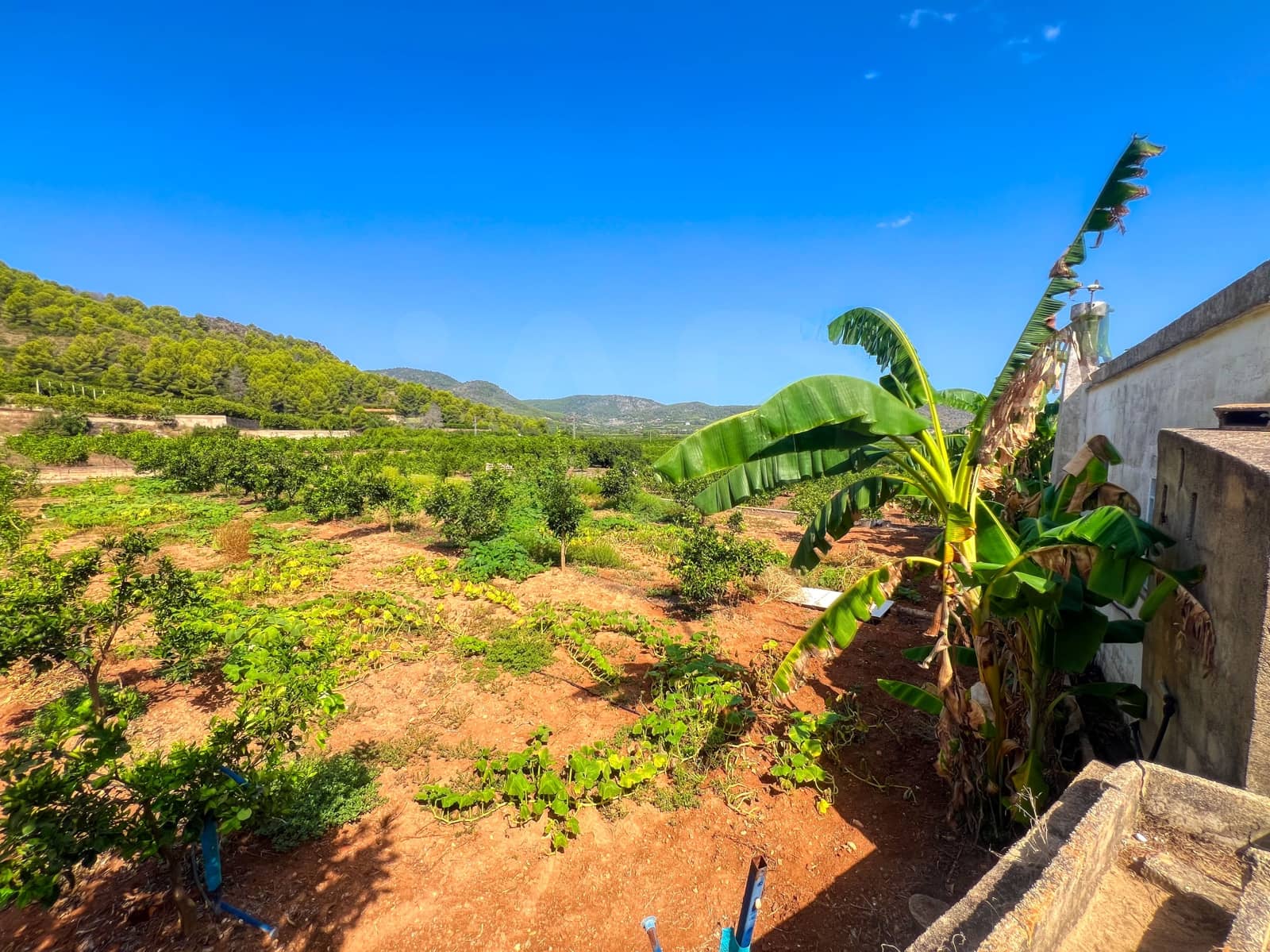 2 Zimmer Haus zu verkaufen in Oliva mit Garage - 80.000 € (Ref: 10010129)