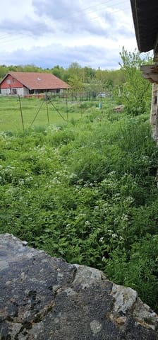 5 quarto Quinta/Casa Rural para venda em Valle de Valdebezana - 155 000 € (Ref: 10010137)