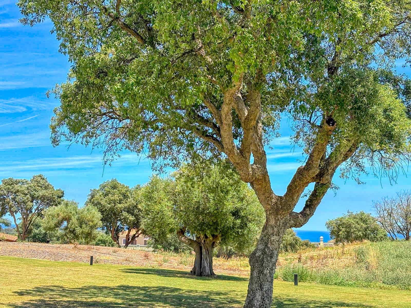 3 chambre Villa/Maison Mitoyenne à vendre à San Roque avec piscine garage - 659 000 € (Ref: 10011513)