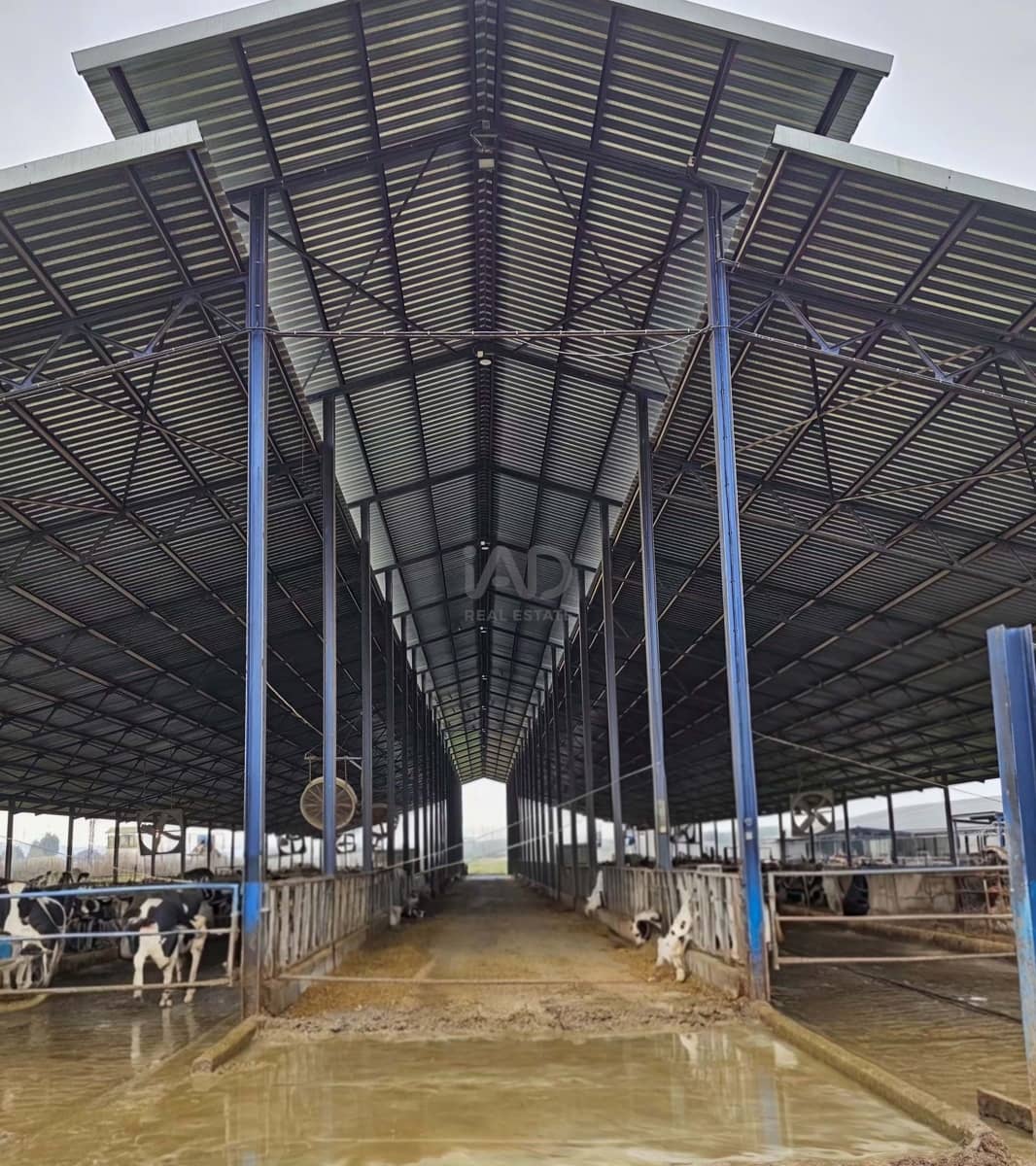 Finka/Dom wiejski na sprzedaż w Lucillos - 3 300 000 € (Ref: 10012578)