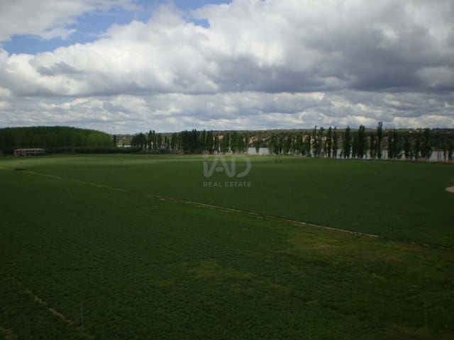 Quinta/Casa Rural para venda em Lucillos - 3 300 000 € (Ref: 10012578)