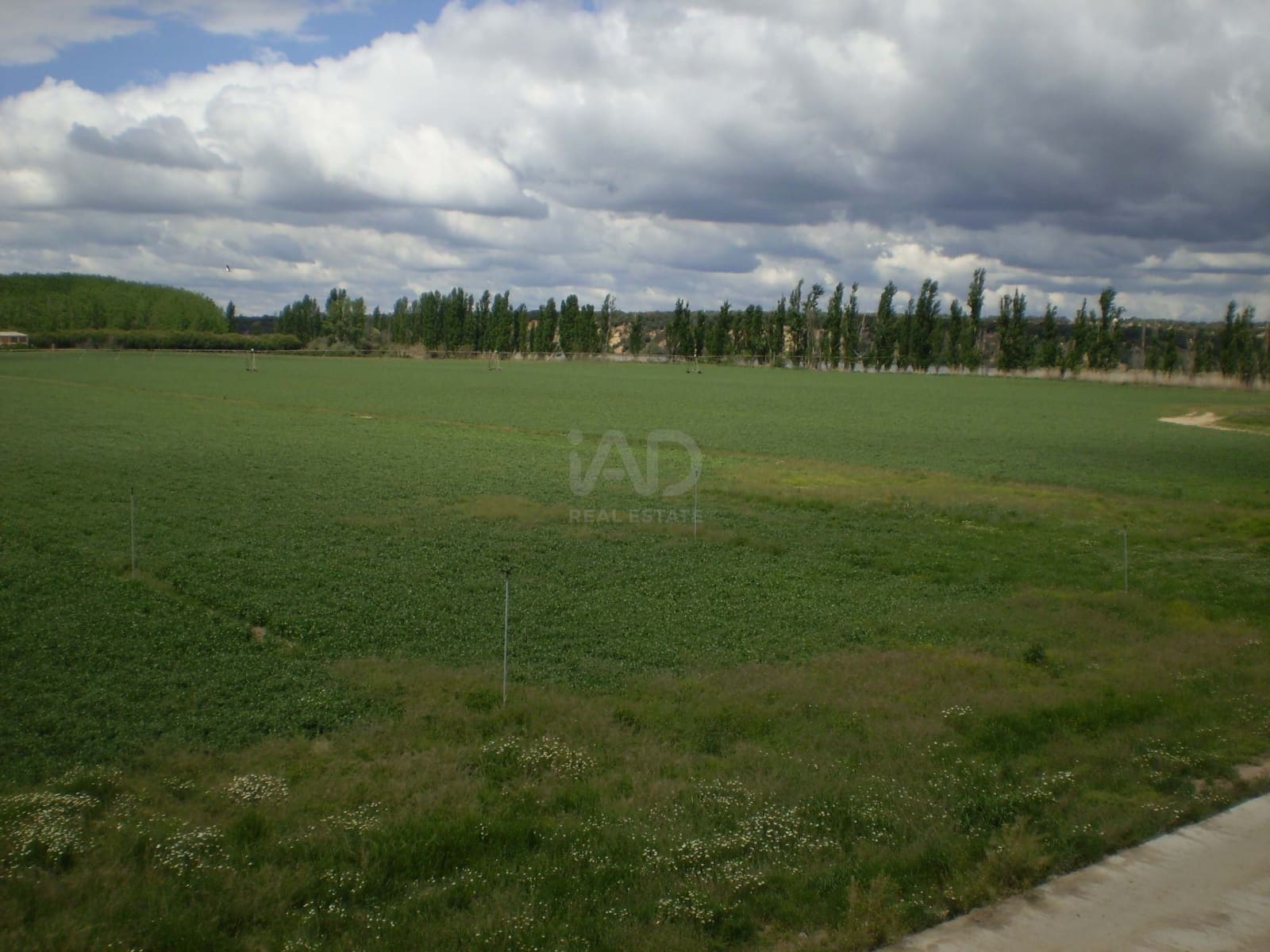 Finka/Dom wiejski na sprzedaż w Lucillos - 3 300 000 € (Ref: 10012578)