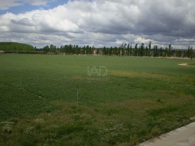 Quinta/Casa Rural para venda em Lucillos - 3 300 000 € (Ref: 10012578)