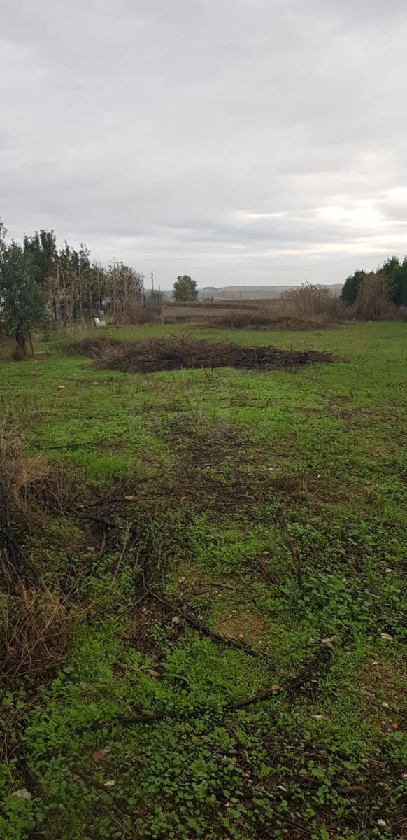 Grond te koop in Cordoba stad - € 58.000 (Ref: 10012744)