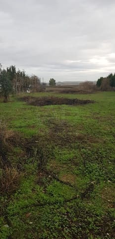 Grond te koop in El Higueron, Córdoba stad - € 58.000 (Ref: 10012744)