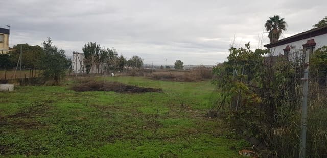 Grond te koop in El Higueron, Córdoba stad - € 58.000 (Ref: 10012744)