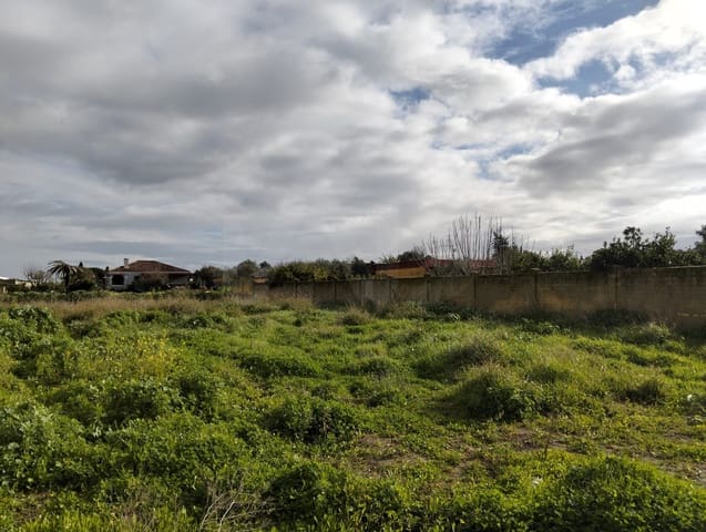 Mark till salu i Sanlúcar de Barrameda - 114 000 € (Ref: 10012752)