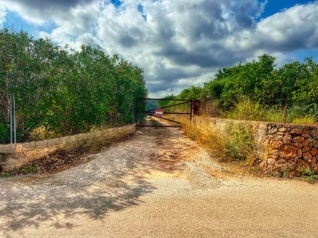 Undeveloped Land for sale in Oliva Pueblo, Oliva - € 15,000 (Ref: 10012758)