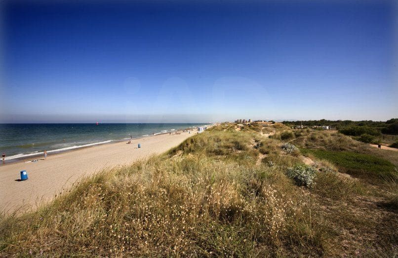 Undeveloped Land for sale in Oliva - € 15,000 (Ref: 10012758)