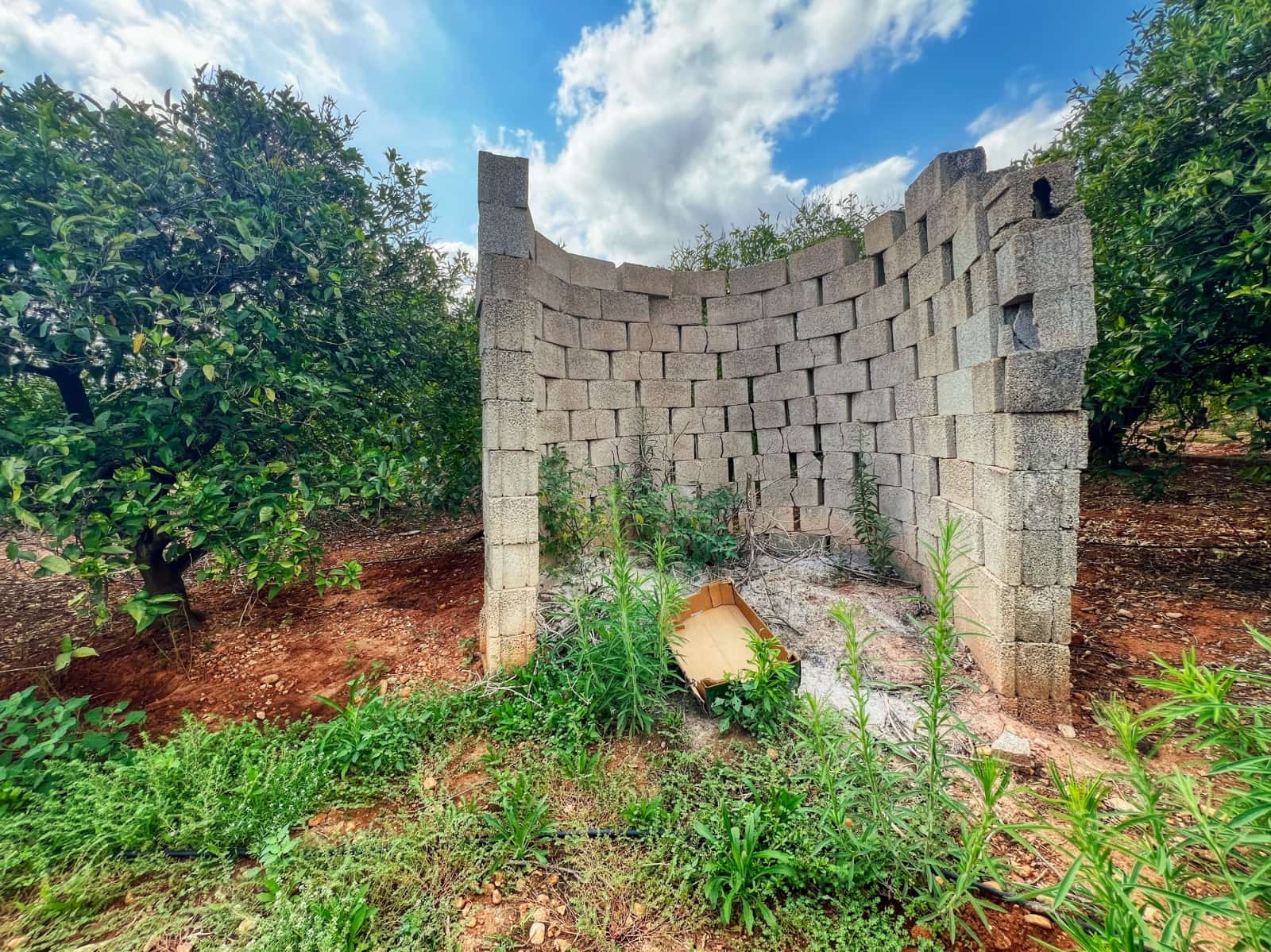 Undeveloped Land for sale in Oliva - € 15,000 (Ref: 10012758)