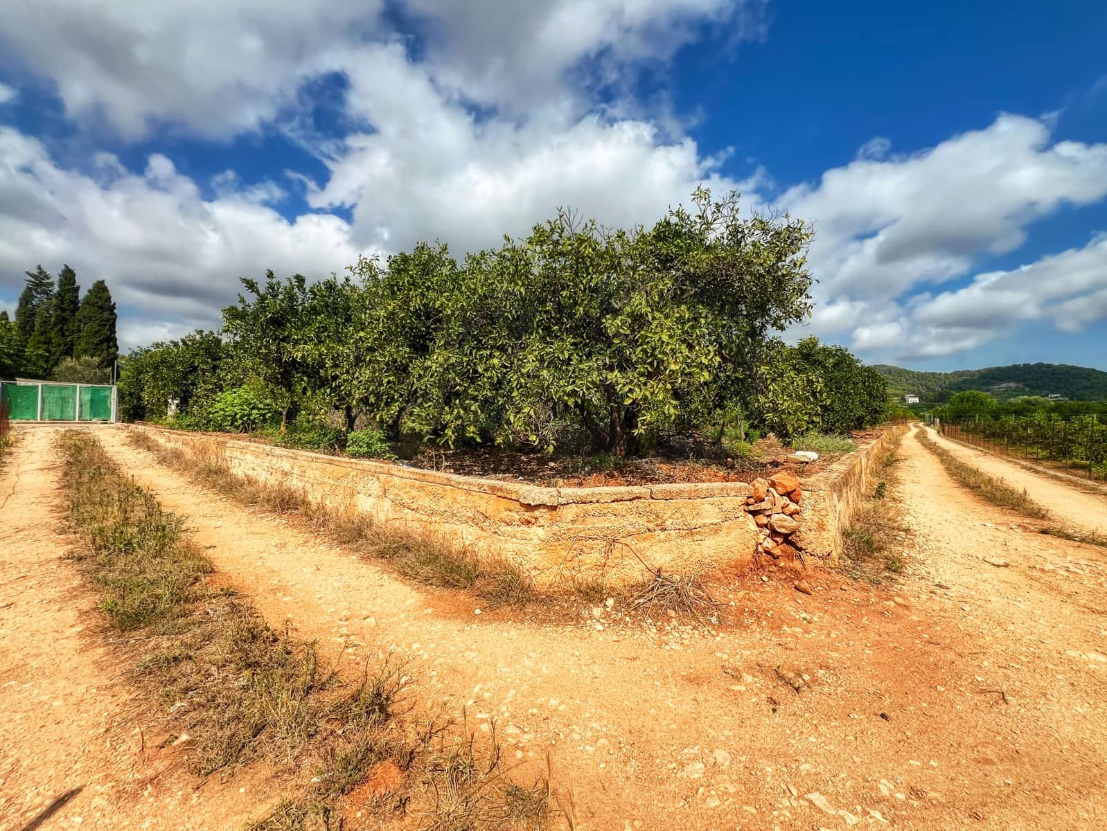 Undeveloped Land for sale in Oliva - € 15,000 (Ref: 10012758)