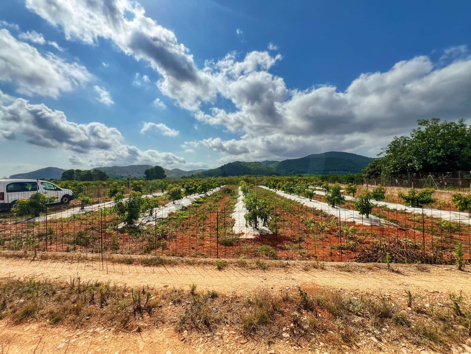 Undeveloped Land for sale in Oliva - € 15,000 (Ref: 10012758)