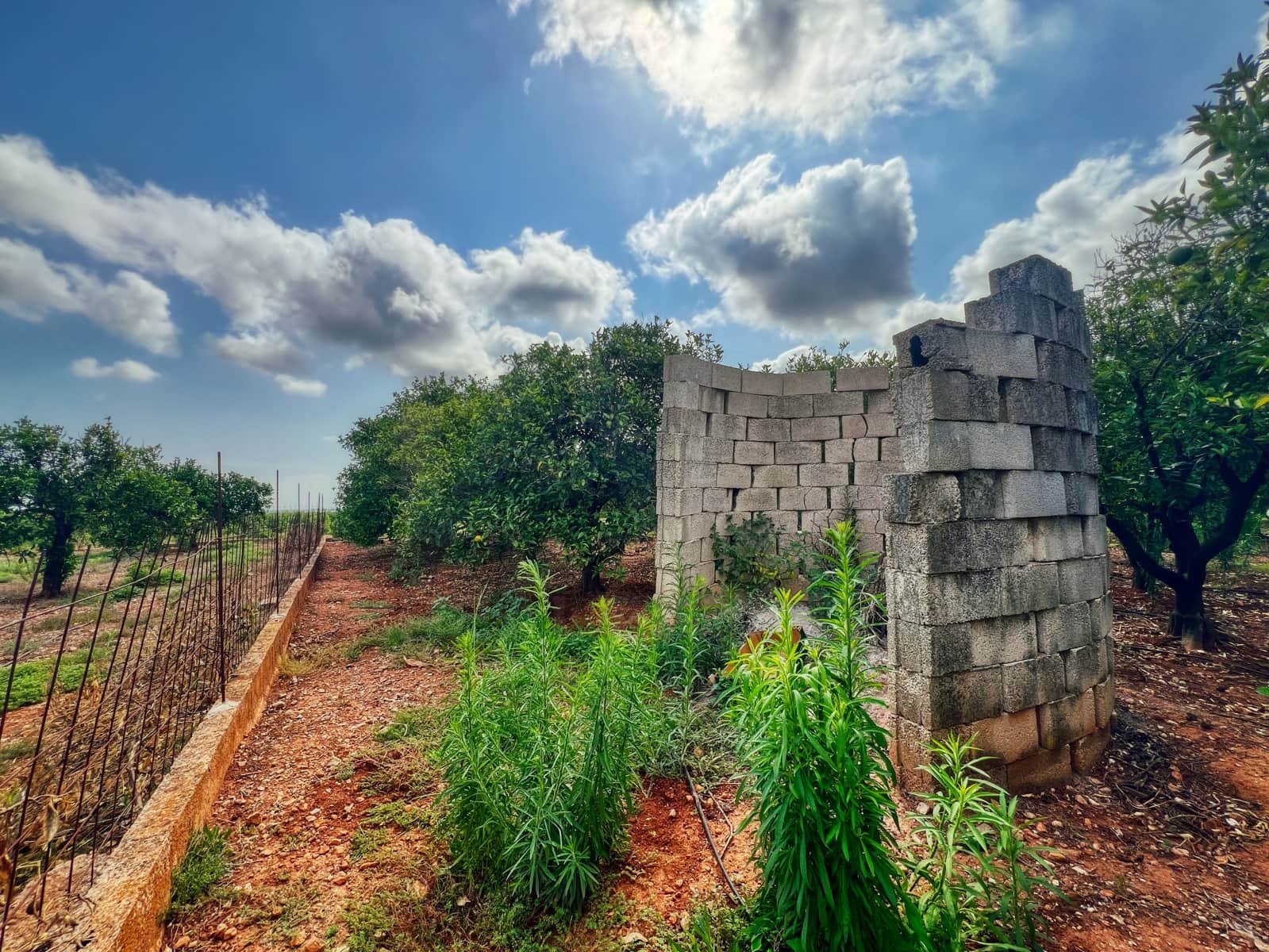 Undeveloped Land for sale in Oliva - € 15,000 (Ref: 10012758)