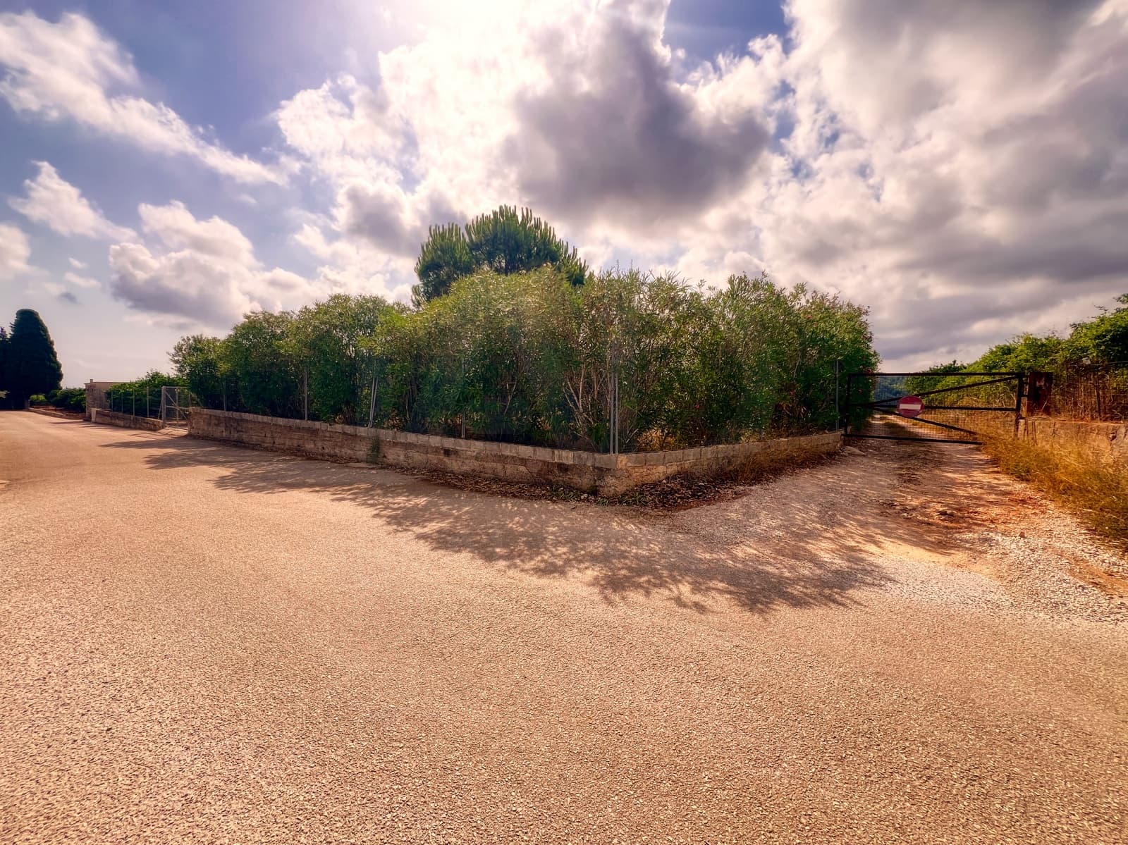 Undeveloped Land for sale in Oliva - € 15,000 (Ref: 10012758)