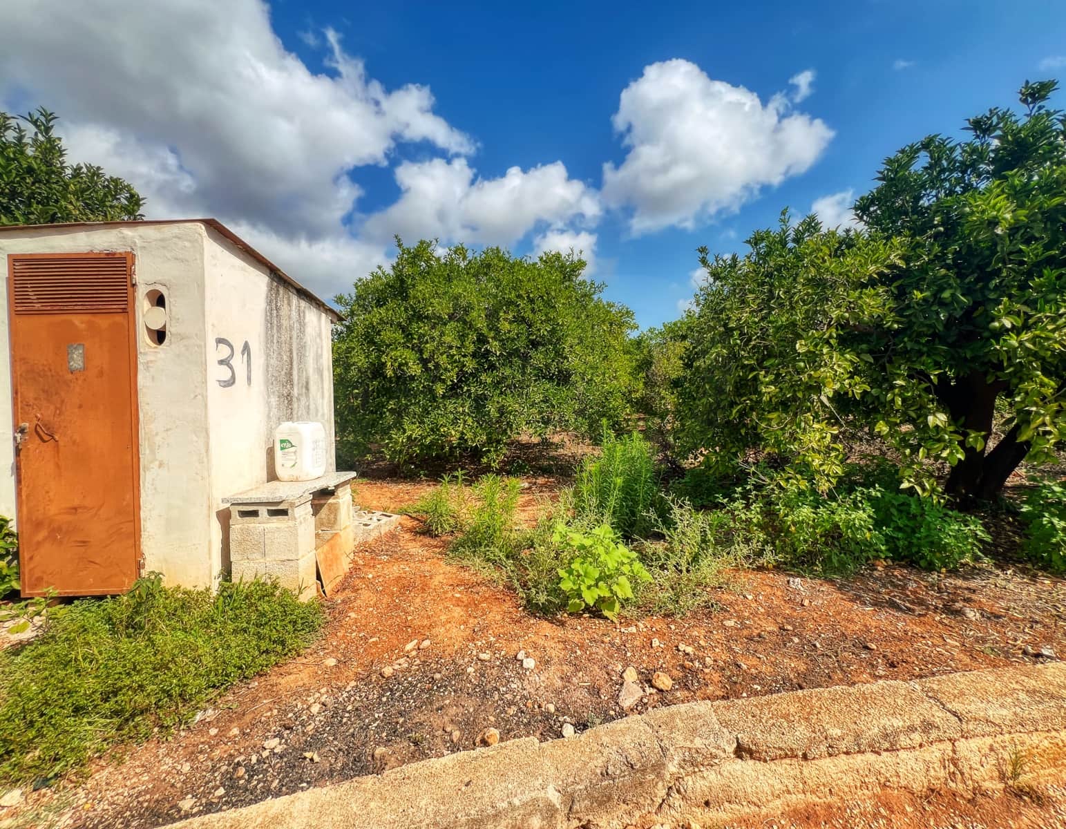 Undeveloped Land for sale in Oliva - € 15,000 (Ref: 10012758)