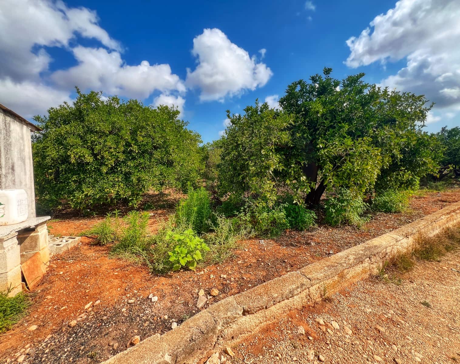 Undeveloped Land for sale in Oliva - € 15,000 (Ref: 10012758)