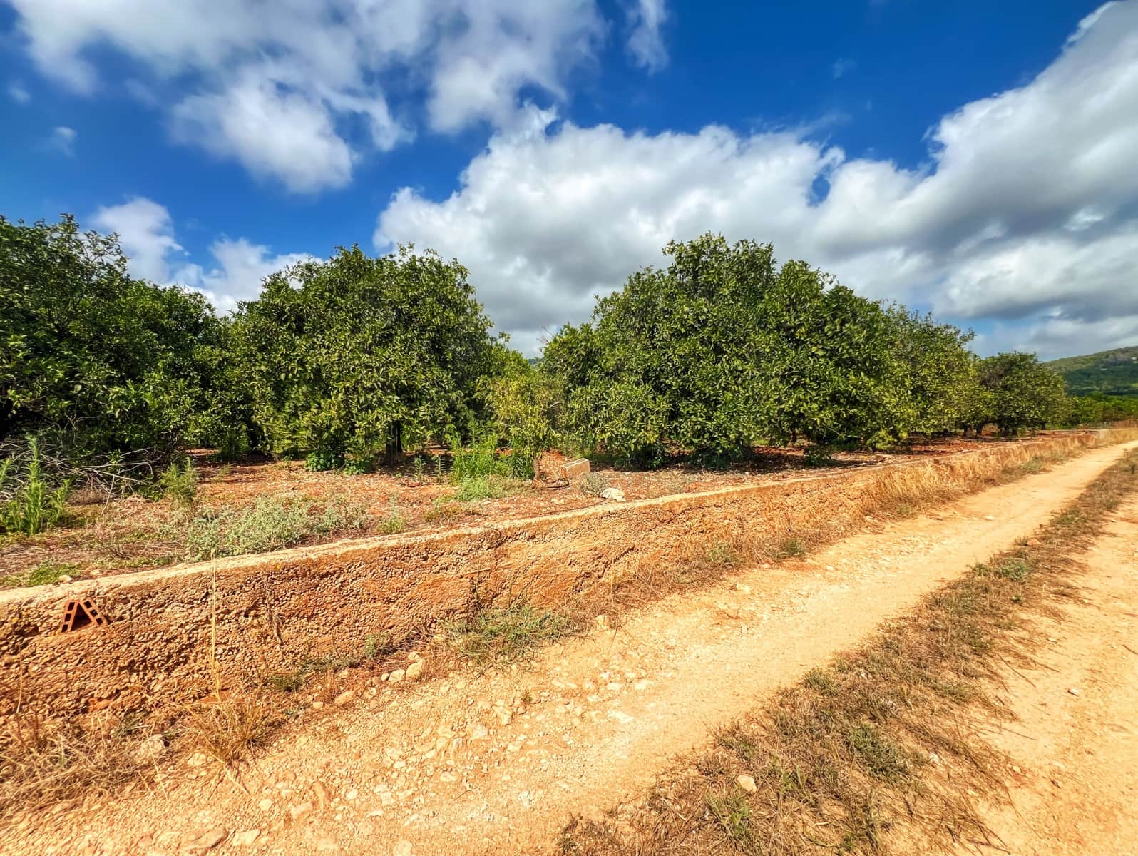 Undeveloped Land for sale in Oliva - € 15,000 (Ref: 10012758)