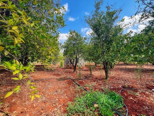 Mark till salu i Oliva Pueblo, Oliva - 15 000 € (Ref: 10012758)