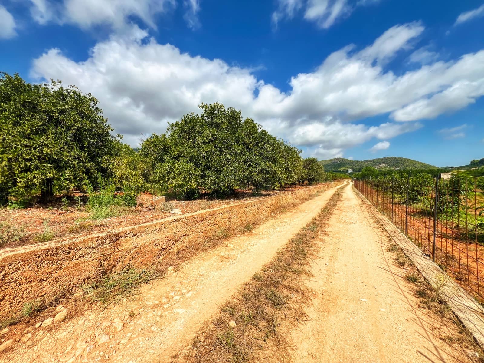 Undeveloped Land for sale in Oliva - € 15,000 (Ref: 10012758)