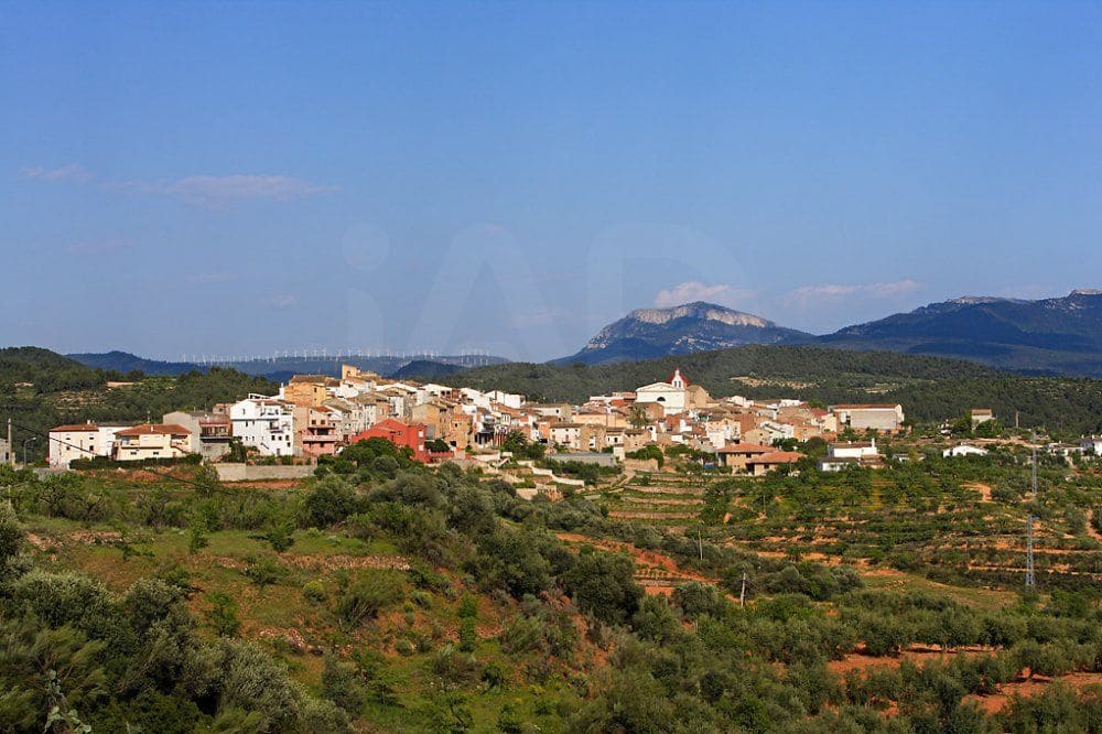 Undeveloped Land for sale in Els Guiamets - € 421,000 (Ref: 10014795)