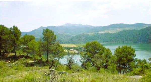 Undeveloped Land for sale in Els Guiamets - € 421,000 (Ref: 10014795)