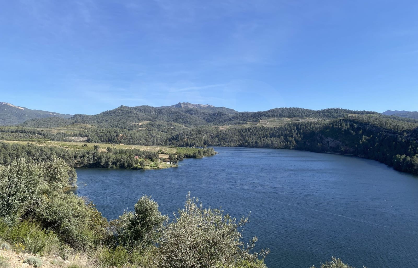 Undeveloped Land for sale in Els Guiamets - € 421,000 (Ref: 10014795)