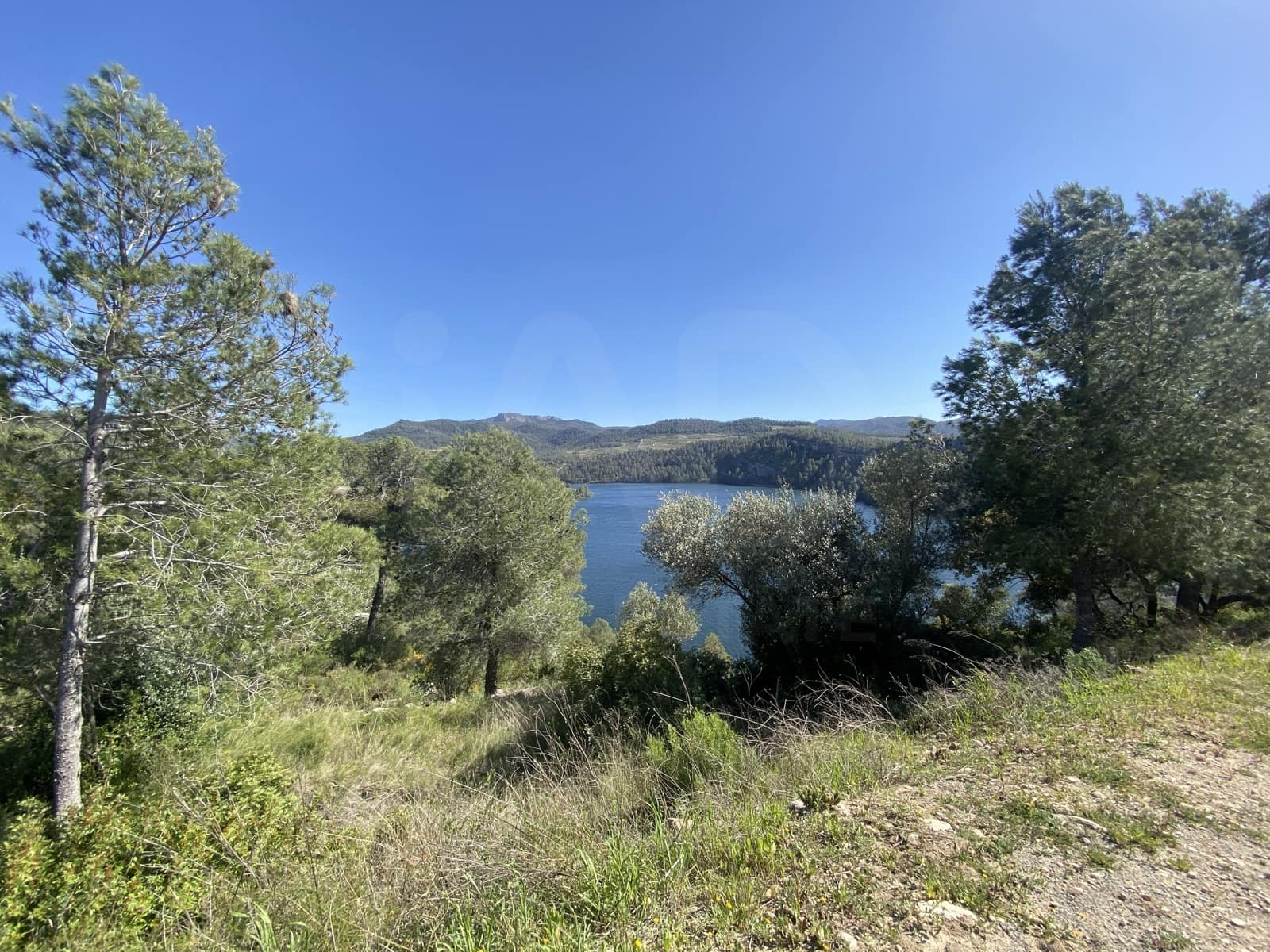Undeveloped Land for sale in Els Guiamets - € 421,000 (Ref: 10014795)
