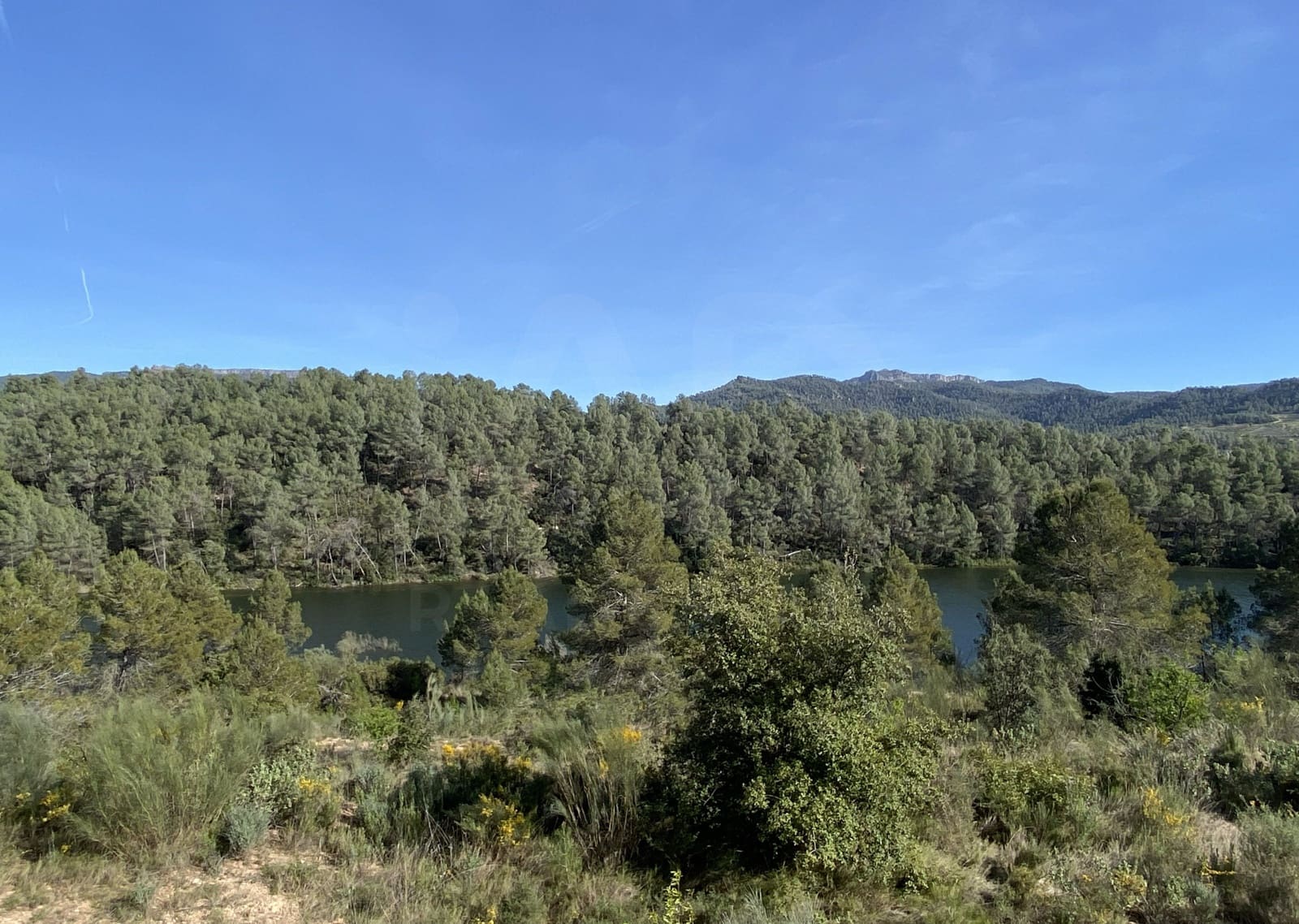 Undeveloped Land for sale in Els Guiamets - € 421,000 (Ref: 10014795)