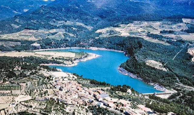 Solar/Parcela en Els Guiamets en venta - 395.000 € (Ref: 10014796)